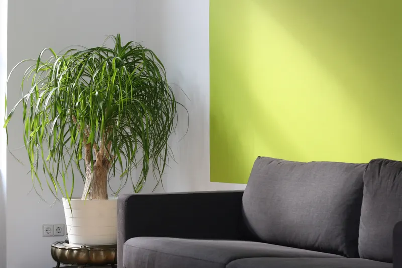 A detailed view of a resale property in Costa Blanca, emphasizing the established charm and character compared to new-build options in the Costa Blanca new-build vs resale discussion.