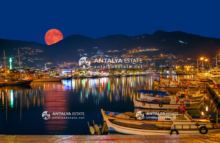 The beauty of Alanya at night