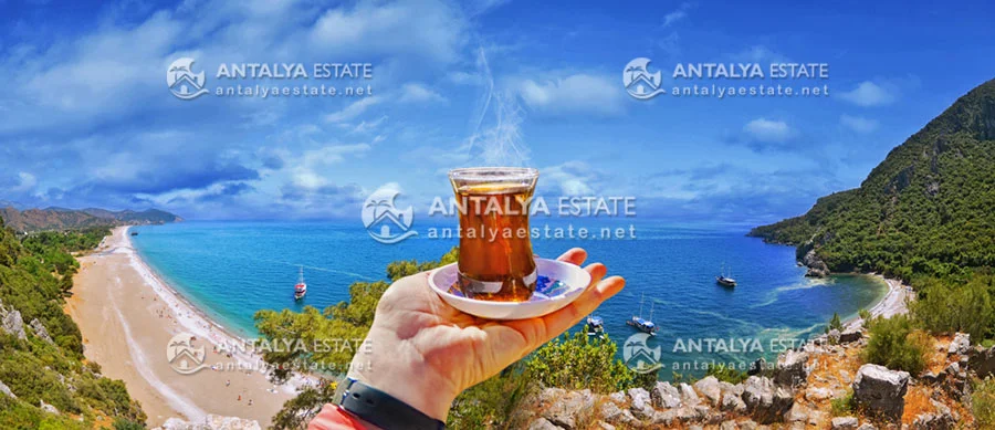 foreign investment in Antalya's property market