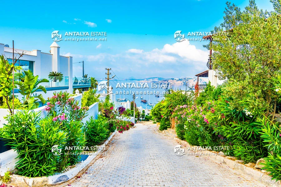 The beautiful and green atmosphere of Bodrum city