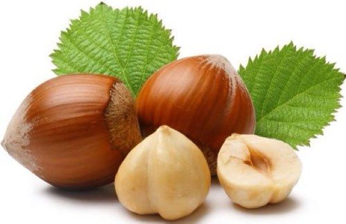 رکورد ترکیه در صادرات فندق رکورد ترکیه در صادرات فندق