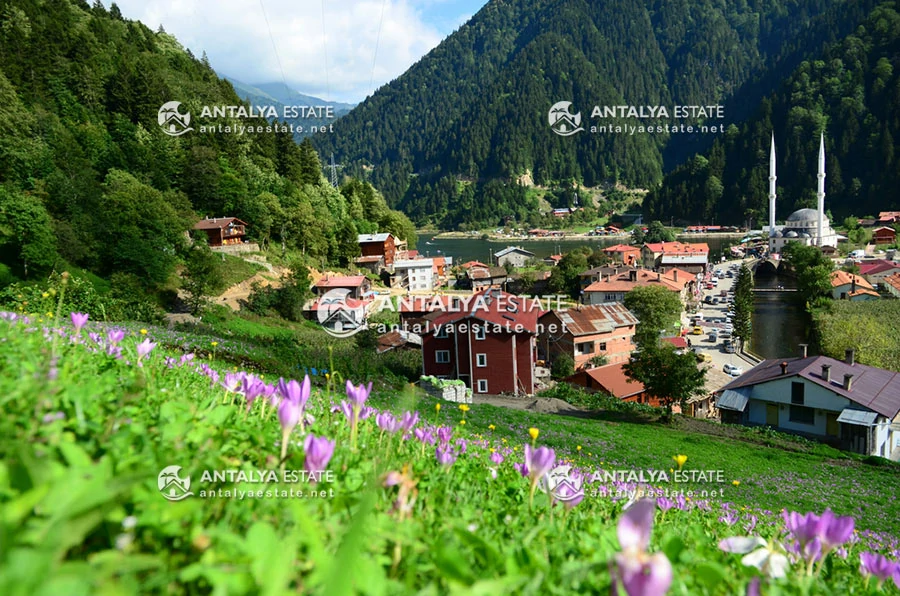 Buying a villa in Trabzon, Turkey